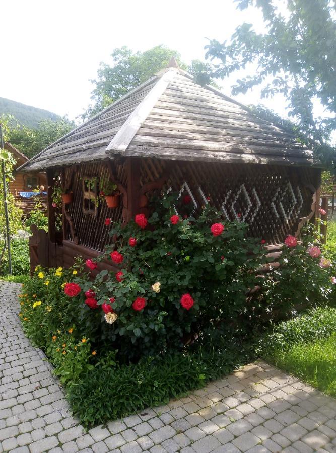 "У Пасічника" Котедж Для Сім'Ї Jaremče Esterno foto