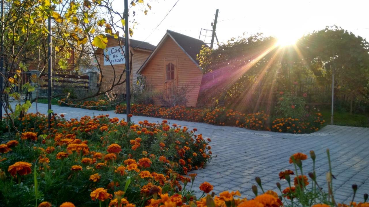 "У Пасічника" Котедж Для Сім'Ї Jaremče Esterno foto
