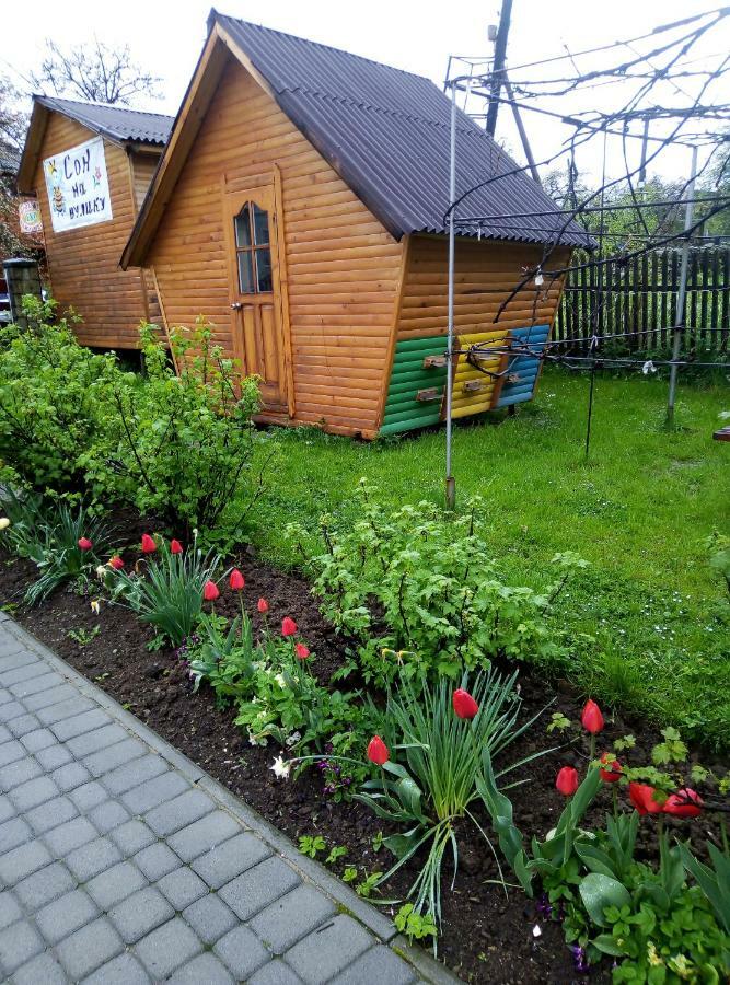 "У Пасічника" Котедж Для Сім'Ї Jaremče Esterno foto
